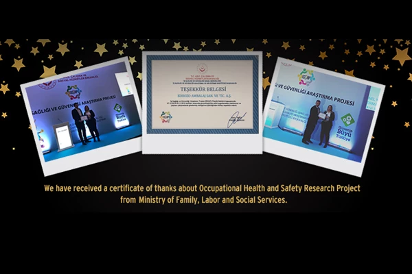 OCCUPATIONAL HEALTH AND SAFETY RESEARCH PROJECT